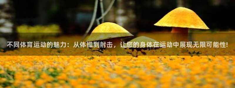 vsport体育官网下载招商电话是多少啊:不同体育运动的魅力