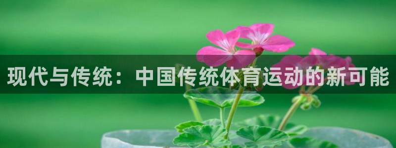 vsport体育官网下载平台是正规平台吗:现代与传统:中国传