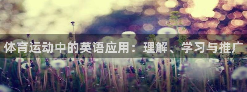 vsport体育官网下载:体育运动中的英语应用:理解、学习与