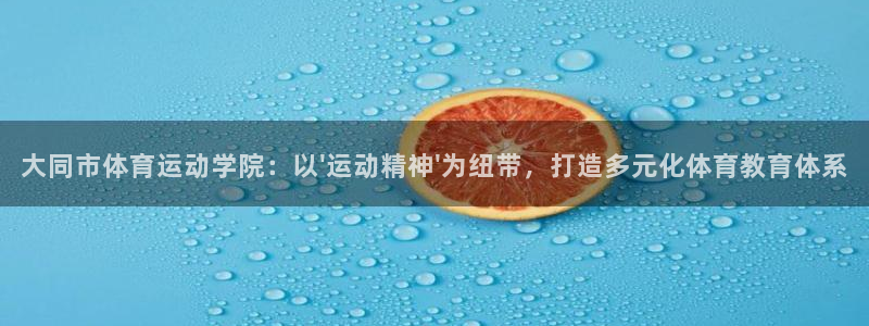 vsport体育官方正版app新能源:大同市体育运动学院:以